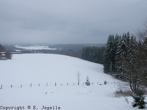 sauerland-0015.JPG