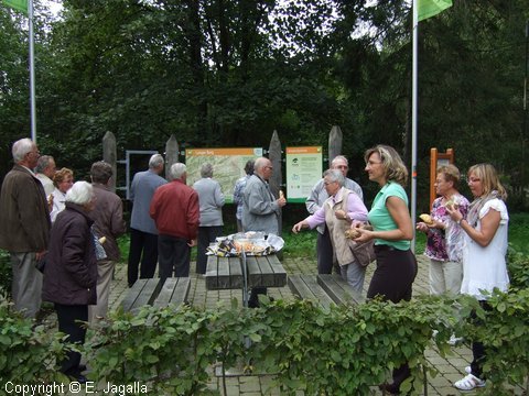 Foto-0004.JPG