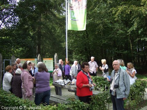 Foto-0007.JPG