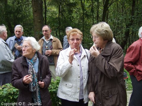 Foto-0015.JPG