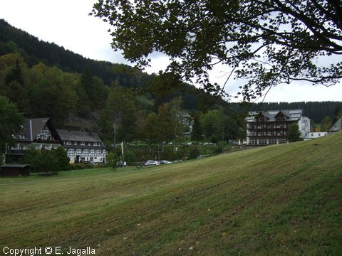Foto-0037.JPG