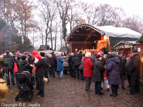 Foto-0006.JPG