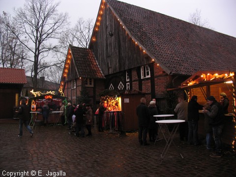 Foto-0009.JPG