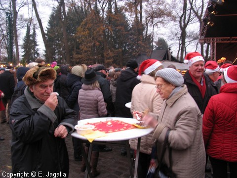 Foto-0011.JPG